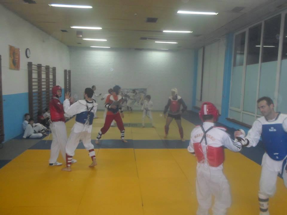 fotografija sa zajedničkog treninga Taekwondo Klubova Akademac, MontenegroStars i Viktorija iz novembra 2014
